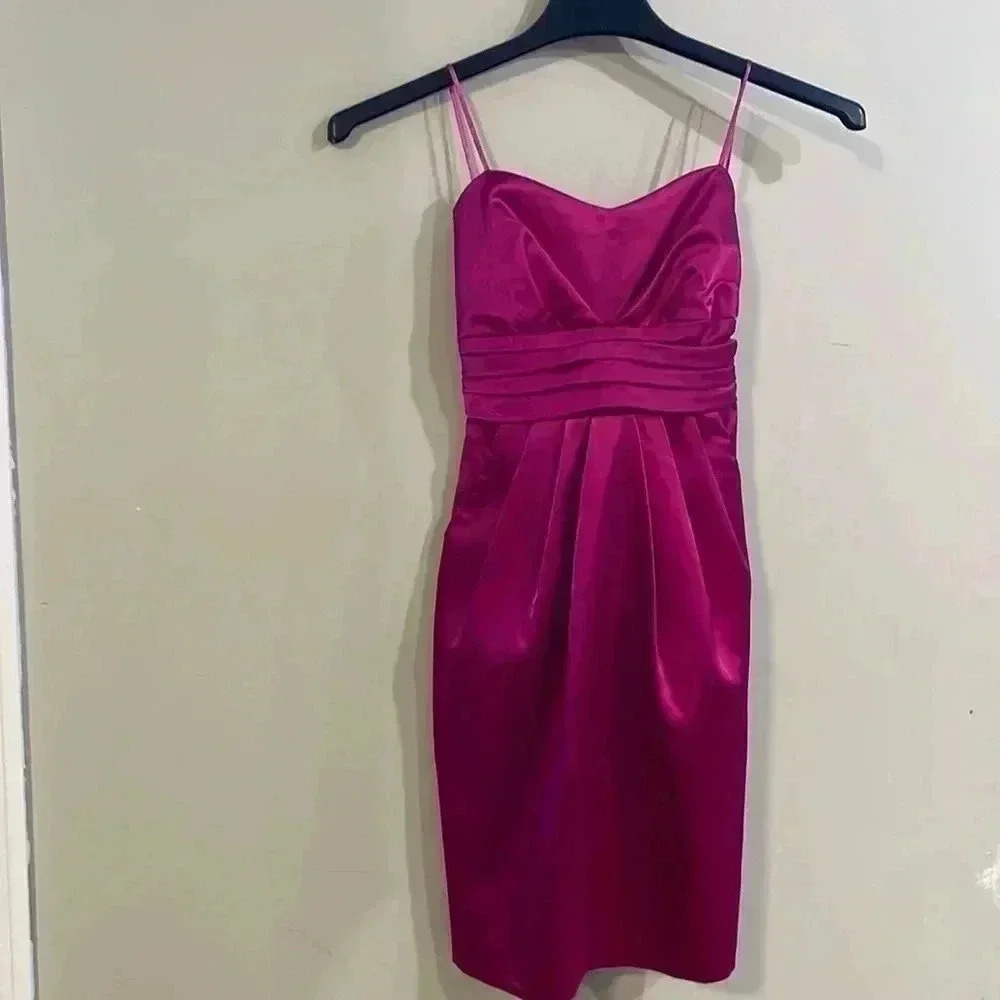 [US3/4]Alyn Paige Pink Knee Length Strapless Dress